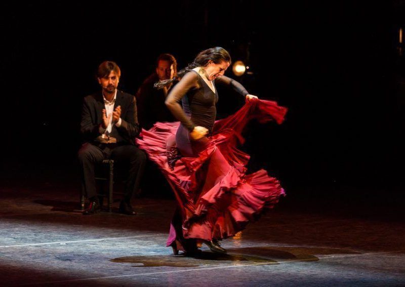 palos flamencos que debes conocer
