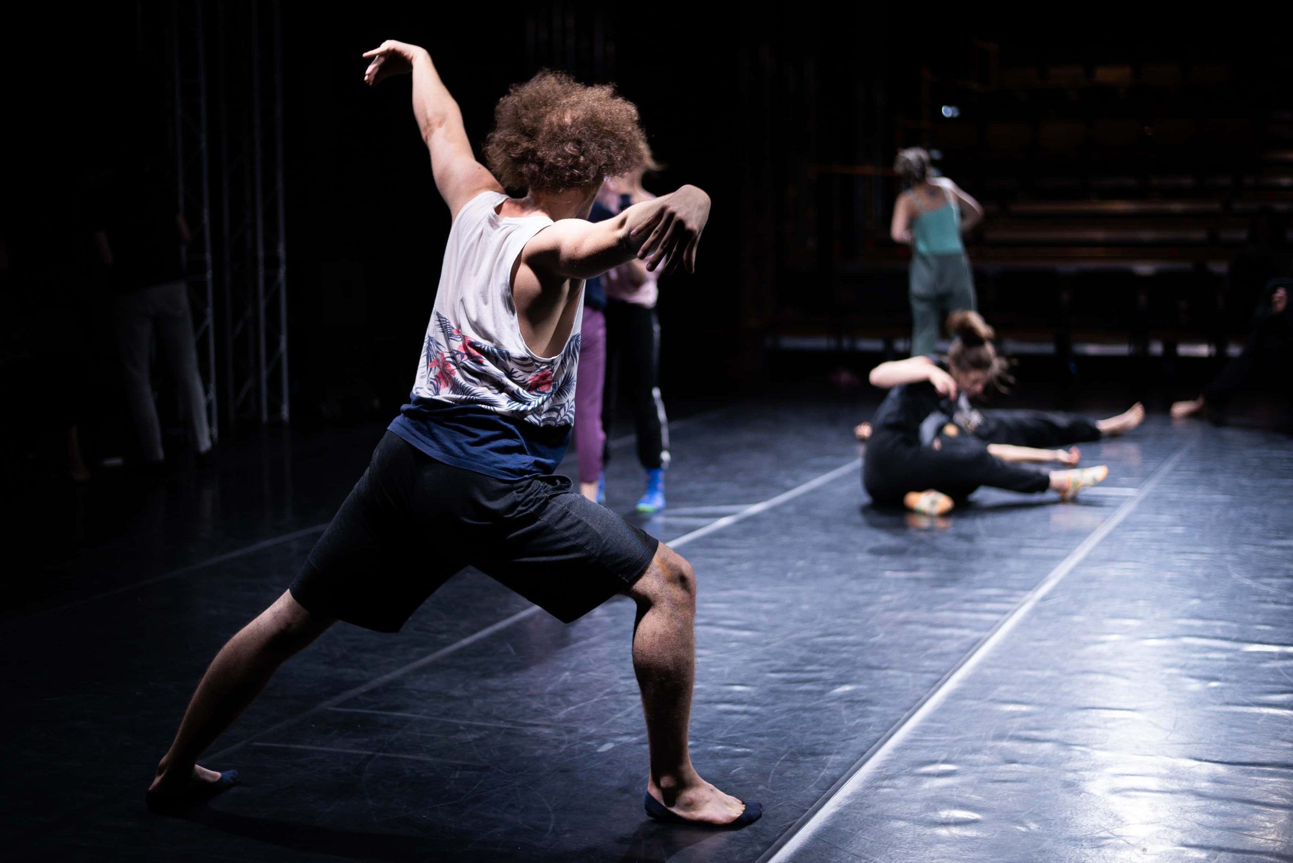 Técnicas en la Danza Contemporánea II. Las innovadoras