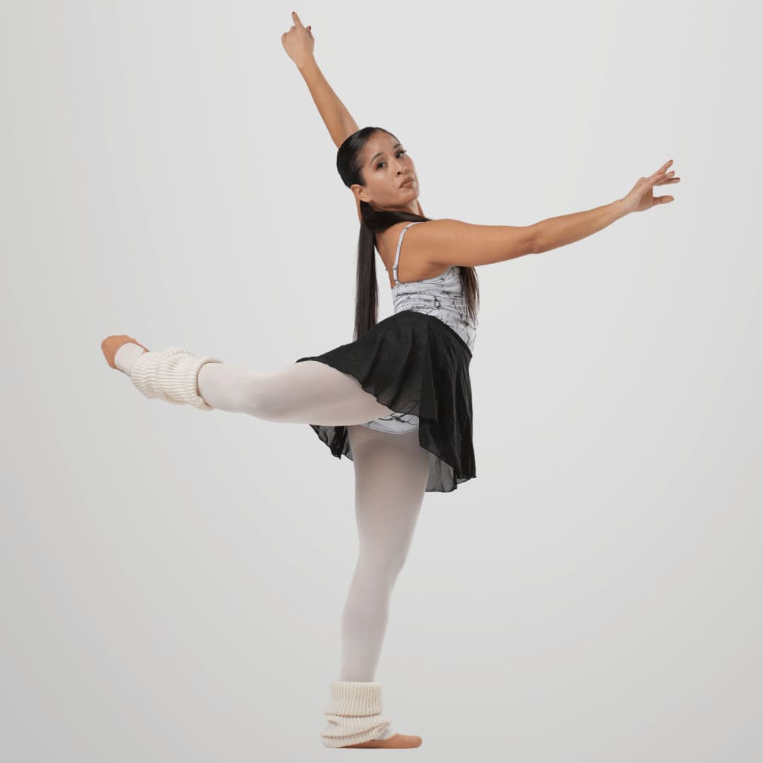 disciplinas ini. danza