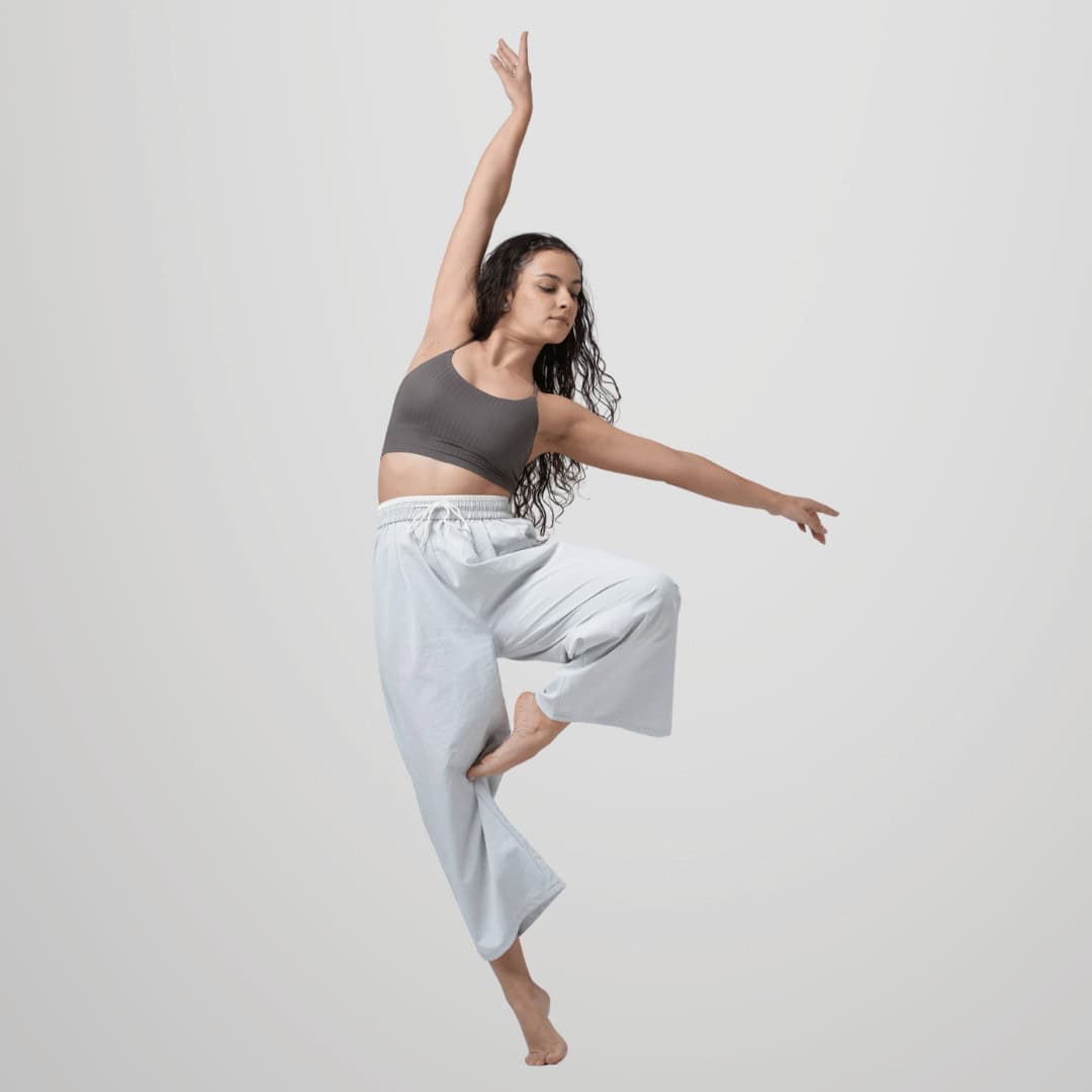 disciplinas ini danza