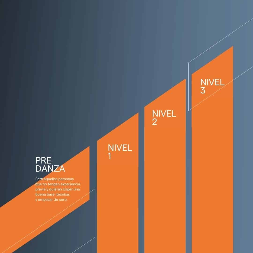 Grafico niveles de formacion 1 1