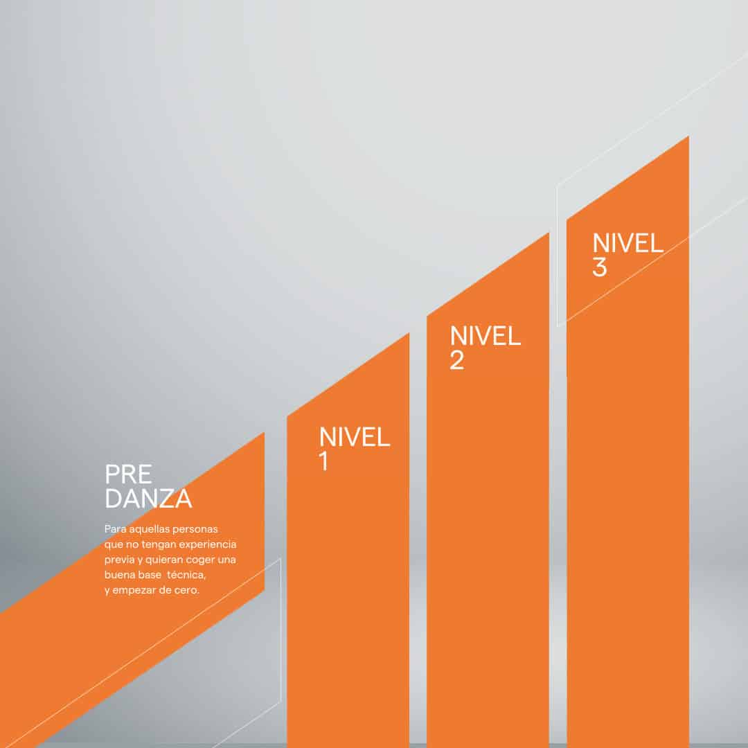 Grafico niveles de formacion 1 3